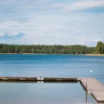 En strand med en brygga och skog i bakgrunden