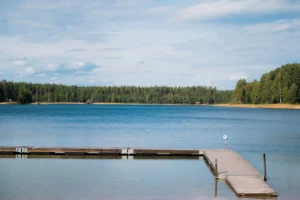 En strand med en brygga och skog i bakgrunden